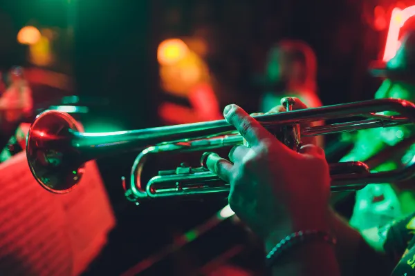 Musicalive enetrtainment
